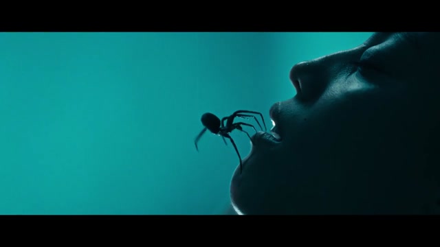 Crawlers Trailer