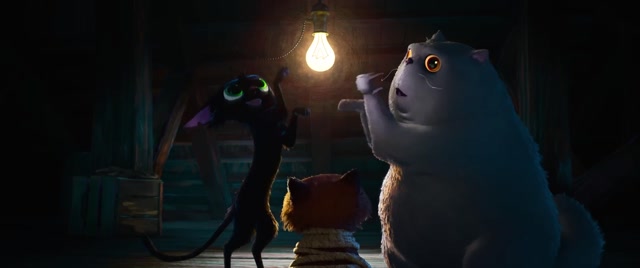 Gatto Trailer