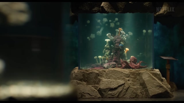 Remarkably Bright Creatures Trailer