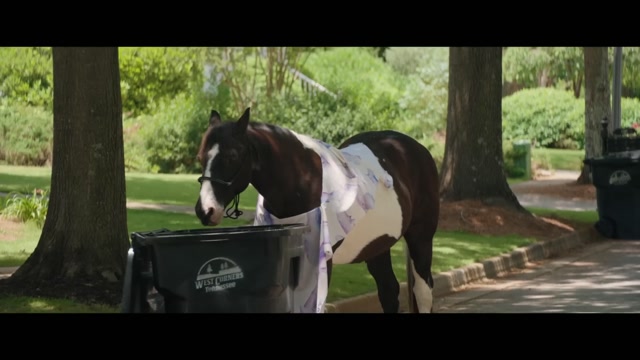 The Breadwinner Trailer