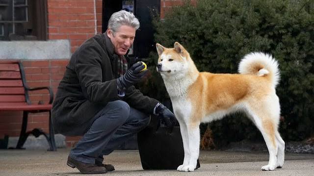 Hatchi: A Dog's Tale