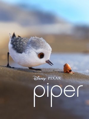 Piper