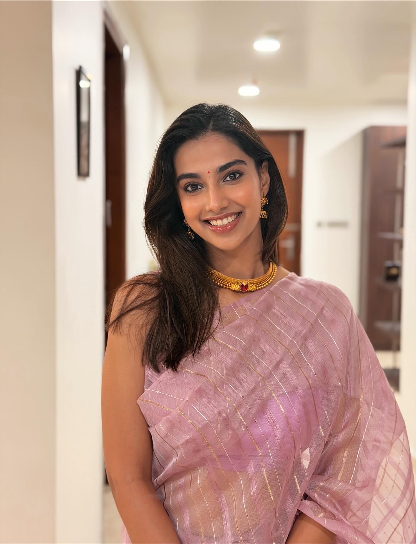 Meenakshi Chaudhary - Photo