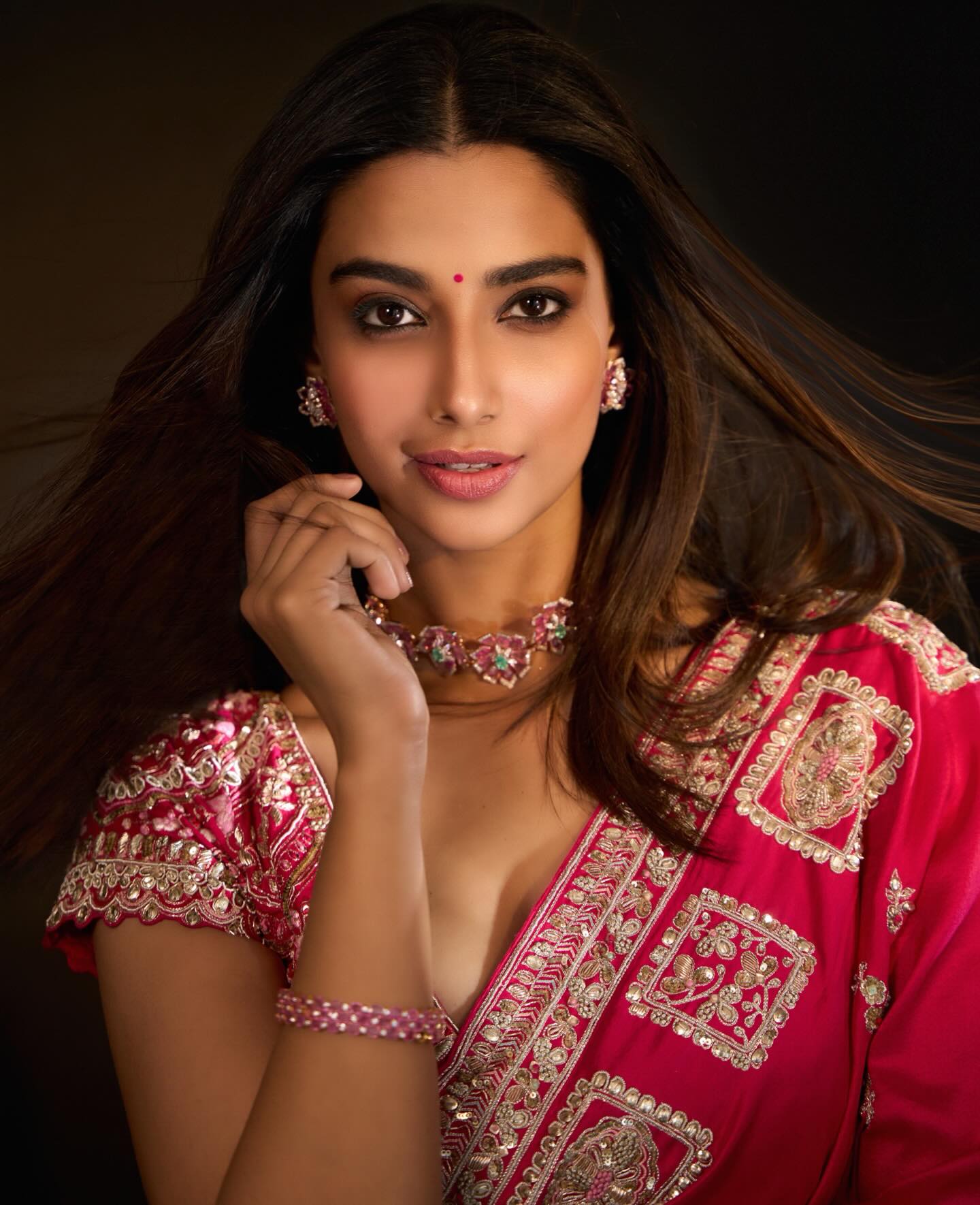 Meenakshi Chaudhary - Photo