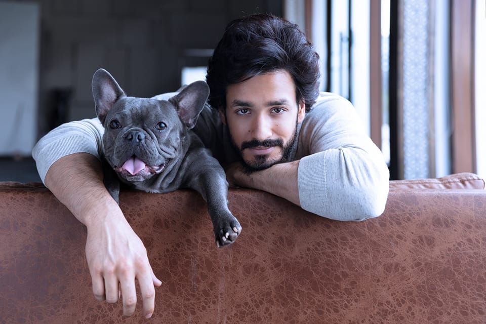 Akhil Akkineni