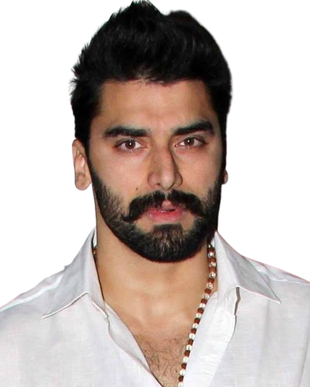 Nikitin Dheer