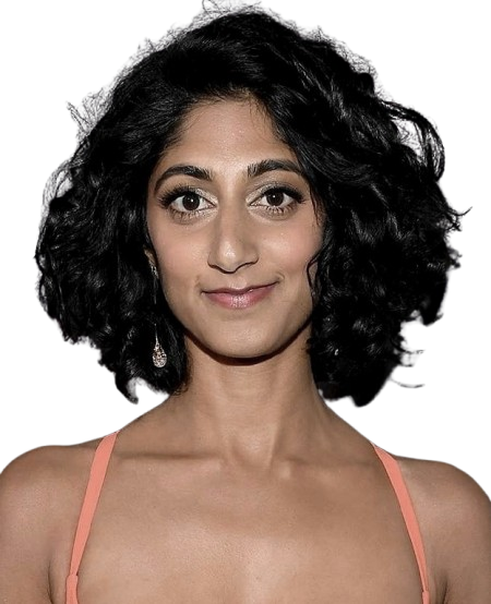 Sunita Mani