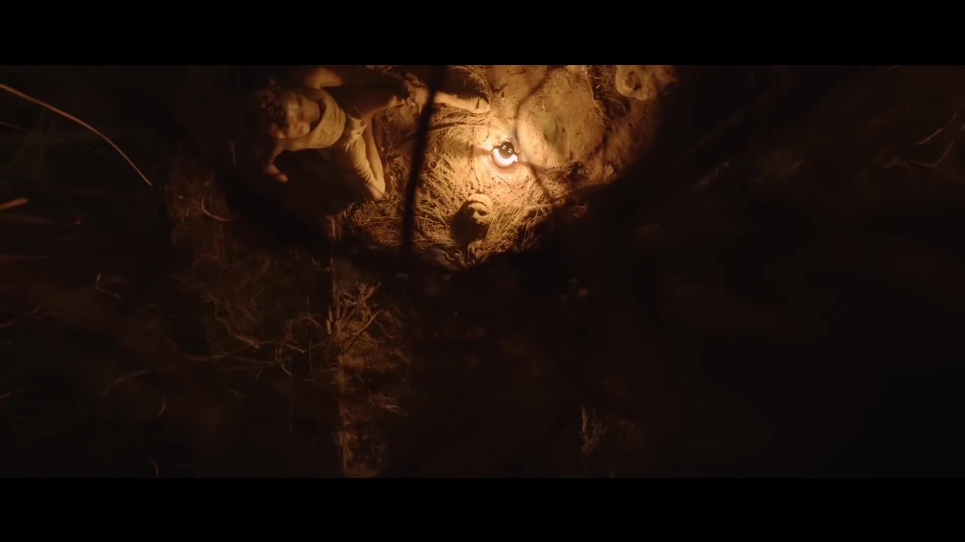 Tumbbad Official Trailer